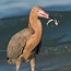 thumbs/IMG_1889.jpg
